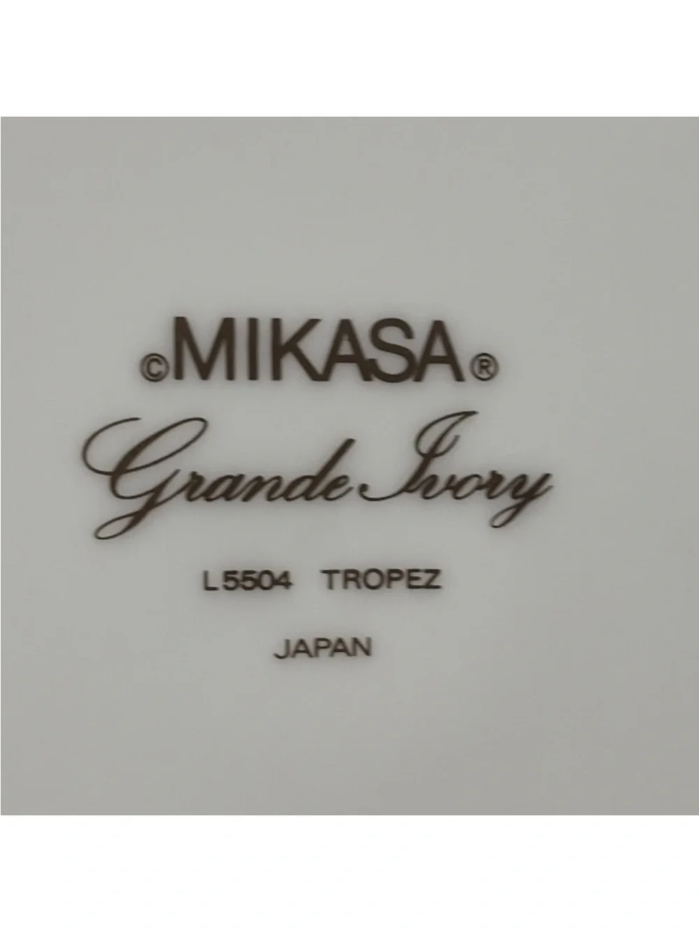 MIKASA Grande Ivory TROPEZ 12” serving platter -  new condition- 2 Available